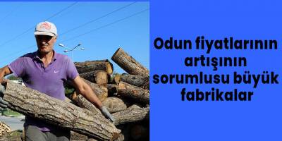 Odun fiyatlarının artışının sorumlusu büyük fabrikalar