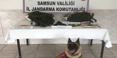 Bafra'da uyuşturucu ve tabanca mermisi ele geçirildi