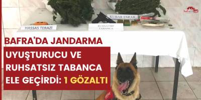 Bafra'da Jandarma uyuşturucu ve ruhsatsız tabanca ele geçirdi: 1 gözaltı