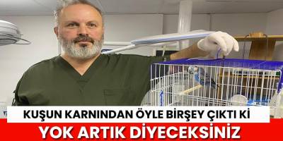 Kuşun karnından öyle birşey çıktı ki?