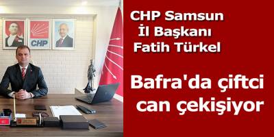 Bafra'da çiftci can çekişiyor