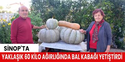 Yaklaşık 60 kilo ağırlığında bal kabağı yetiştirdi