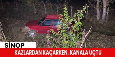 Kazlardan kaçarken, kanala uçtu