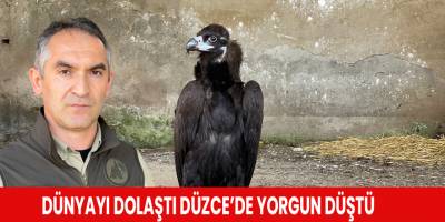 Dünyayı dolaştı Düzce’de yorgun düştü