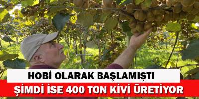 Hobi Olarak Başlamışlardı