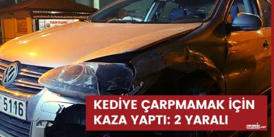 Kediye çarpmamak için direksiyonu kırdı