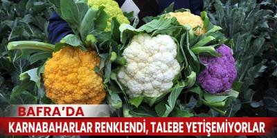 Karnabaharlar renklendi, talebe yetişemiyorlar