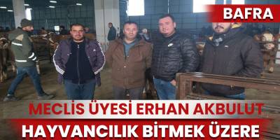 Meclis Üyesi Erhan Akbulut, Hayvancılık bitmek üzere
