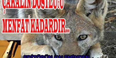 ÇAKALIN DOSTLUĞU KARNI DOYANA KADARDIR