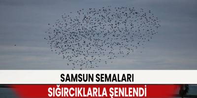 Samsun semaları sığırcıklarla şenlendi