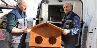 Kedi Evi projesi İlkadım’da hayat buldu