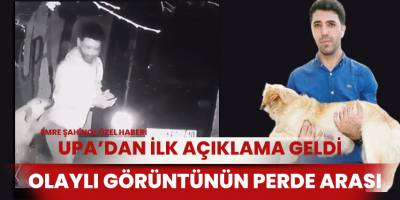 Hayvanları koruma vakfı üyesi doktor, köpeği tekmeledi iddiası