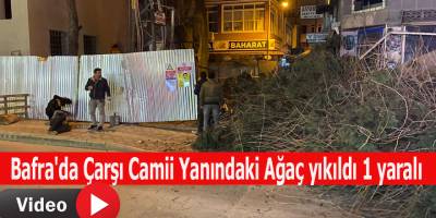 Bafra'da Çarşı Camii Yanındaki Ağaç yıkıldı 1 yaralı