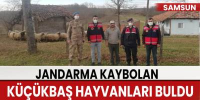 Kaybolan 130 küçükbaş hayvanı jandarma buldu