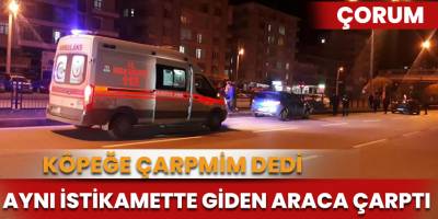 Köpeğe çarpmamak için kaza yaptı: 6 yaralı