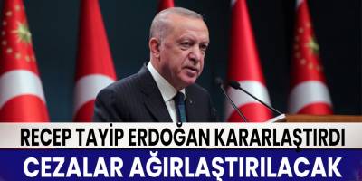 Cumhurbaşkanı Erdoğan'dan '10 Aralık Dünya İnsan Hakları Günü' mesajı