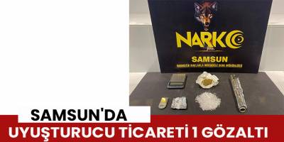 Samsun'da Uyuşturucu Ticareti 1 Gözaltı