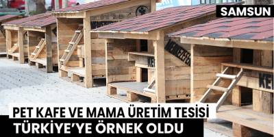 Pet Kafe ve Mama Üretim Tesisi Türkiye’ye örnek oldu