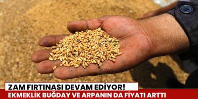 Ekmeklik buğday ve arpanın da fiyatı arttı
