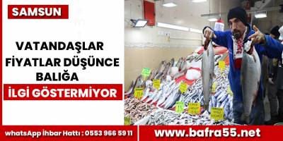 Fiyatlar Düşünce Balığa İlgi Gösterilmiyor