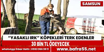 “Yasaklı ırk” köpekleri terk edenler 30 bin TL ödeyecek