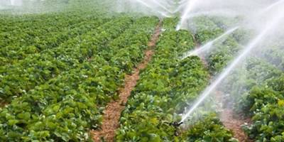 Bireysel sulama sistemi desteği için son başvuru tarihi