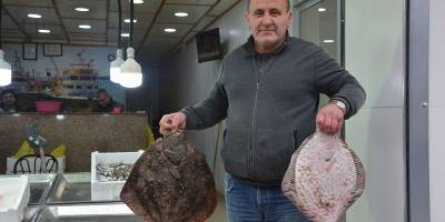 Sinop’ta kalkan balığının kilosu 300 TL’den satılıyor