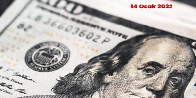 14 Ocak 2022 Cuma Dolar 13,53