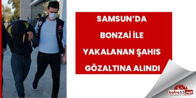 Bonzai ile yakalanan şahıs gözaltına alındı