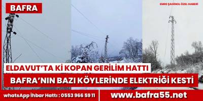 Kopan gerilim hattı 10 köyü karanlıkta bıraktı