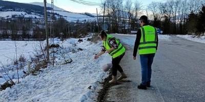 Sinop'ta açtıkları yola mama bırakmayı ihmal etmiyorlar