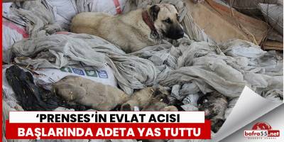 ‘Prenses’in evlat acısı