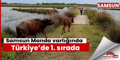 Samsun Manda varlığında 1. sırada