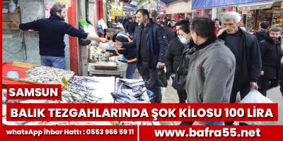 Balık tezgahlarının şampiyonu kilosu 100 lira