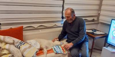 Hastalanan kuzuya evde bebek gibi bakıyorlar