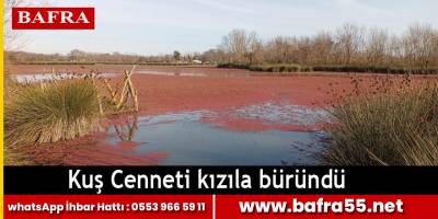 Kuş Cenneti kızıla büründü