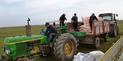 Mera alanlarında gübreleme başladı