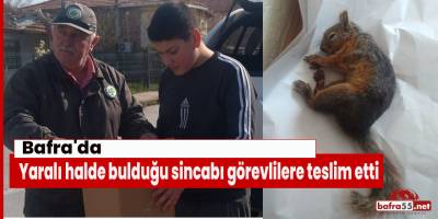 Bafra'da yaralı halde bulduğu sincabı görevlilere teslim etti