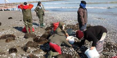 Hayvansal ürün ihracatından 42,2 milyon döviz