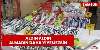 Balıkçılar uyarıyor