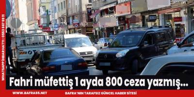 Fahri müfettiş 1 ayda 800 ceza yazmış...