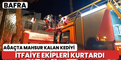 Ağaçta mahsur kalan kediyi itfaiye kurtardı