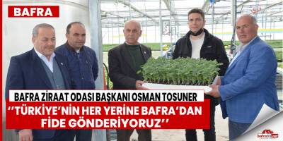 Türkiye’nin Her Yerine Bafra’dan Fide Gönderiliyor