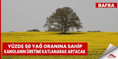 Yüzde 50 yağ oranına sahip kanolanın üretimi artacak