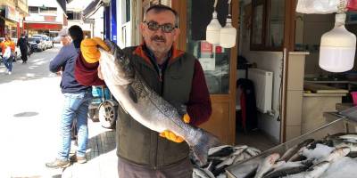 Sinop’ta balıkçı ağlarına 7 kiloluk levrek takıldı