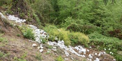 Sinop'ta ormana atılan çöpler tepki çekti