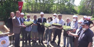 Samsun'da Tarıma destek 10 kat arttı