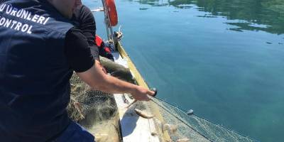 Bin metre misina ağa el konuldu