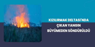 Kızılırmak Deltası'nda Yangın