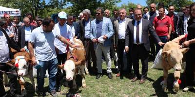 Havza'da yayla şenliği